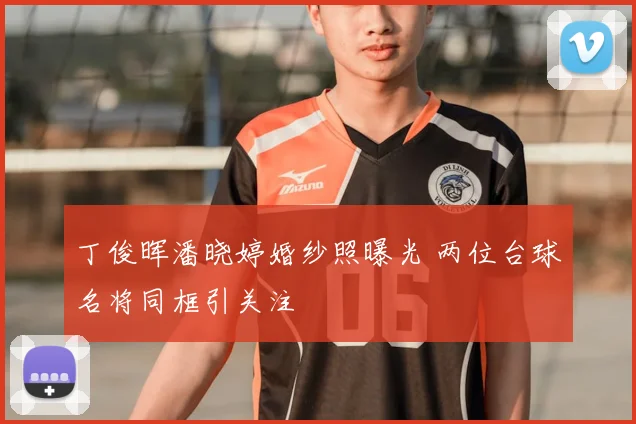 丁俊晖潘晓婷婚纱照曝光 两位台球名将同框引关注