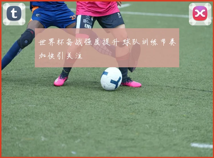 世界杯备战强度提升 球队训练节奏加快引关注