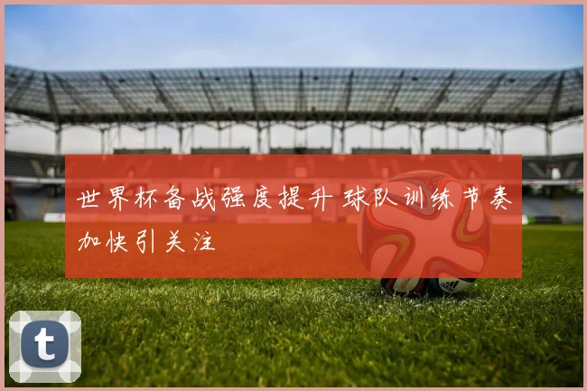 世界杯备战强度提升 球队训练节奏加快引关注
