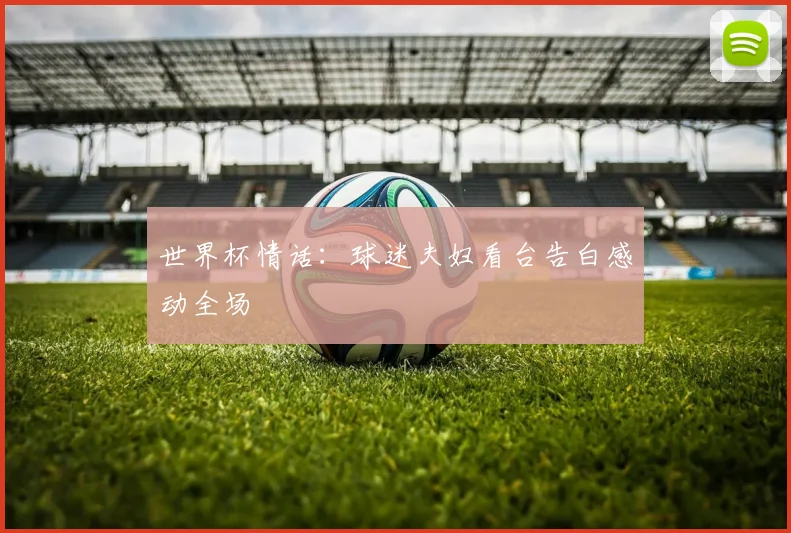 世界杯情话：球迷夫妇看台告白感动全场
