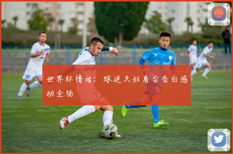 世界杯情话：球迷夫妇看台告白感动全场